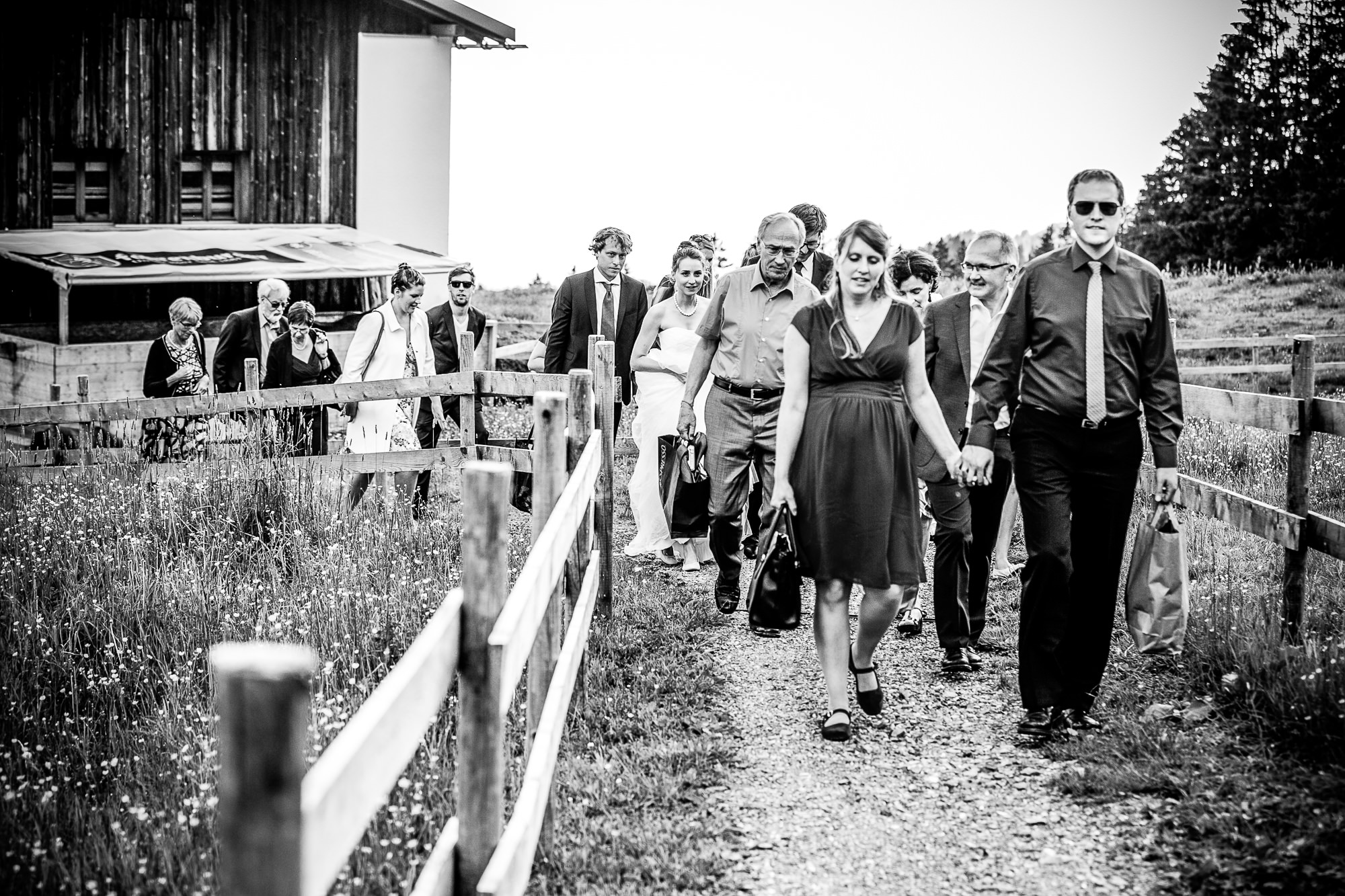 Export x3 053 JC 685 Beispiele Eva 2016